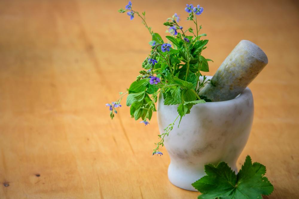 fresh herbs